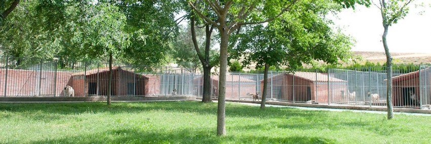 residencia canina